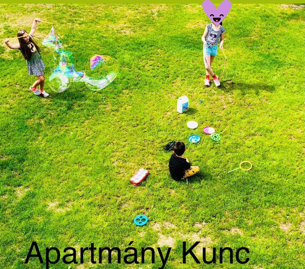 Apartmany Kunc Бедржихов Екстер'єр фото